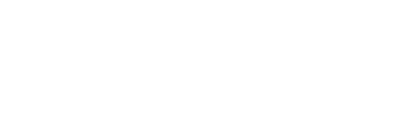 GINECHIP